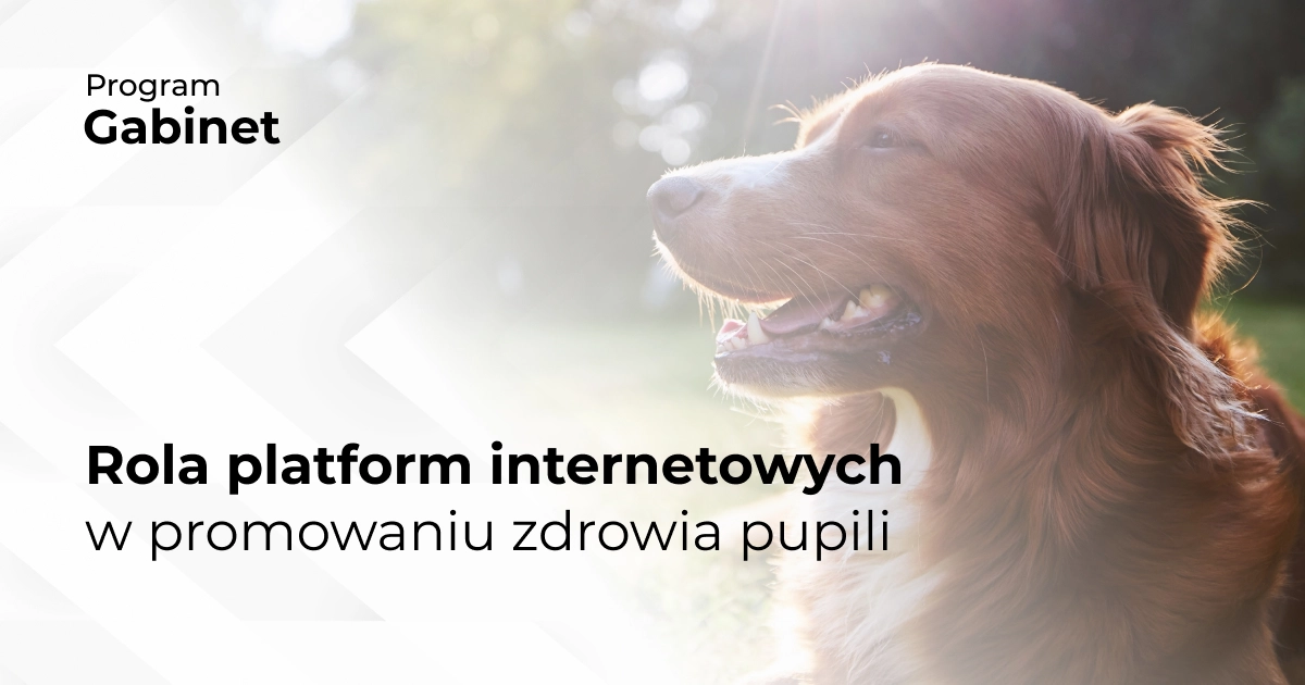 Rola platform internetowych w promowaniu zdrowia pupili